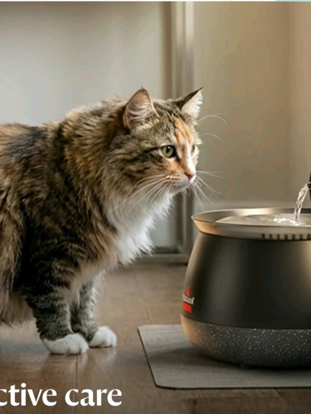 Bissell Black Automatic Cat Water Fountain
